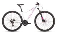 SaarRad Fr. Hoffmann GmbH - B2B-Shop - Superior MTB 29 XC 819W Alu 6061 T6 16Gg Altus