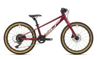 SaarRad Fr. Hoffmann GmbH - B2B-Shop - Superior MTB 20  Team 20 Disc Alu lite